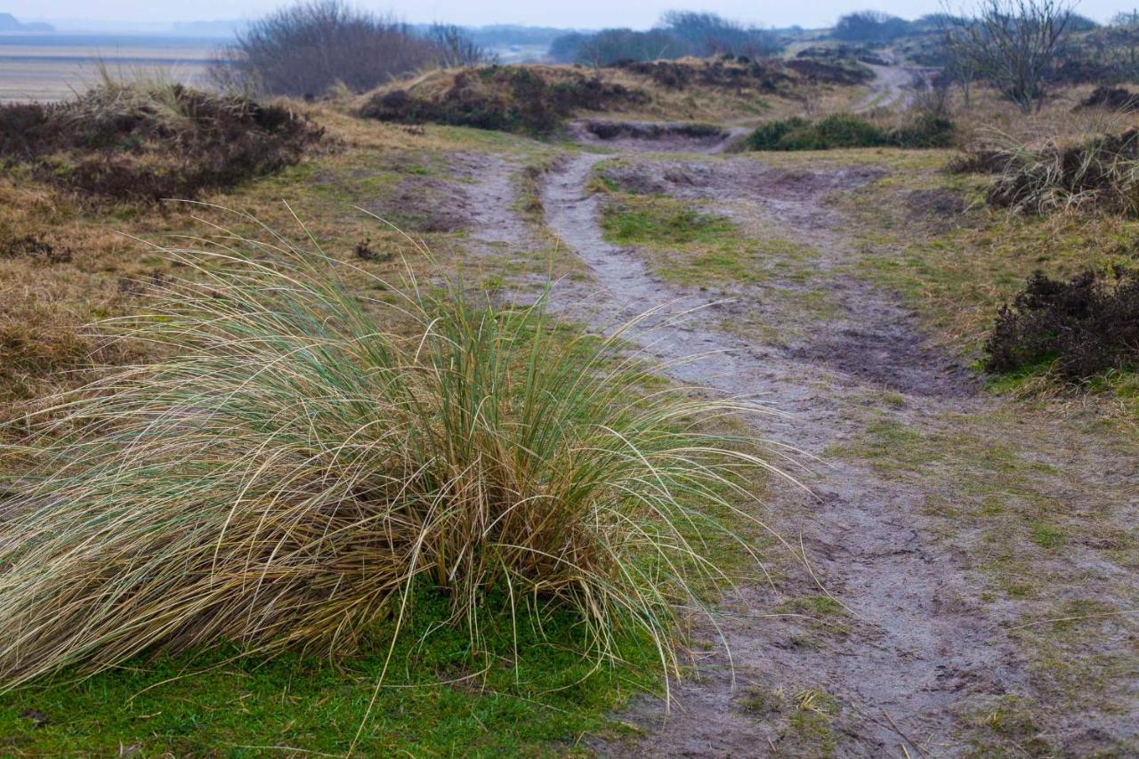 Vakantiehuisje Schelp 5 Personen - Zeezand Recreatie Stolpen Esterno foto