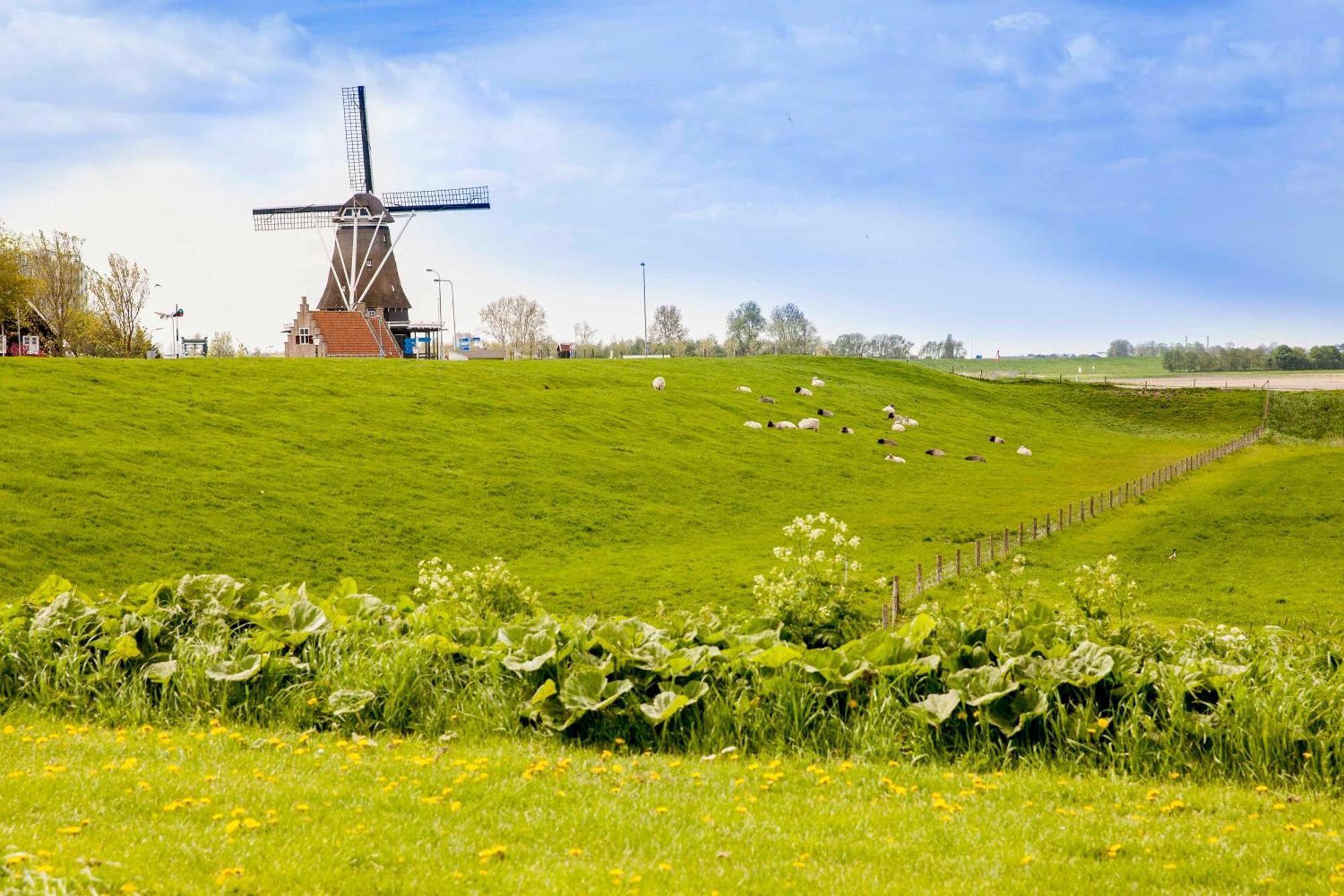 Vakantiehuisje Schelp 5 Personen - Zeezand Recreatie Stolpen Esterno foto