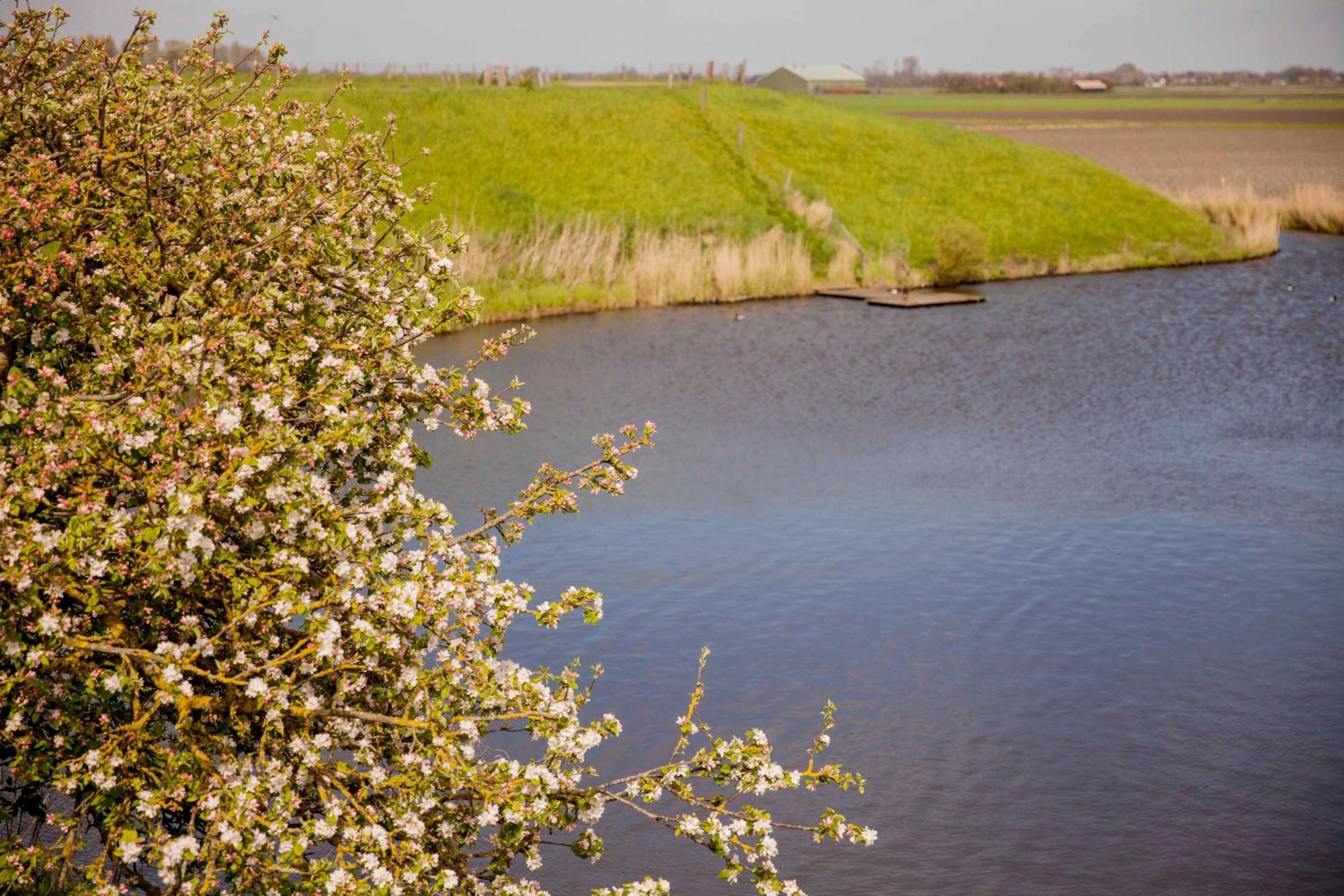 Vakantiehuisje Schelp 5 Personen - Zeezand Recreatie Stolpen Esterno foto