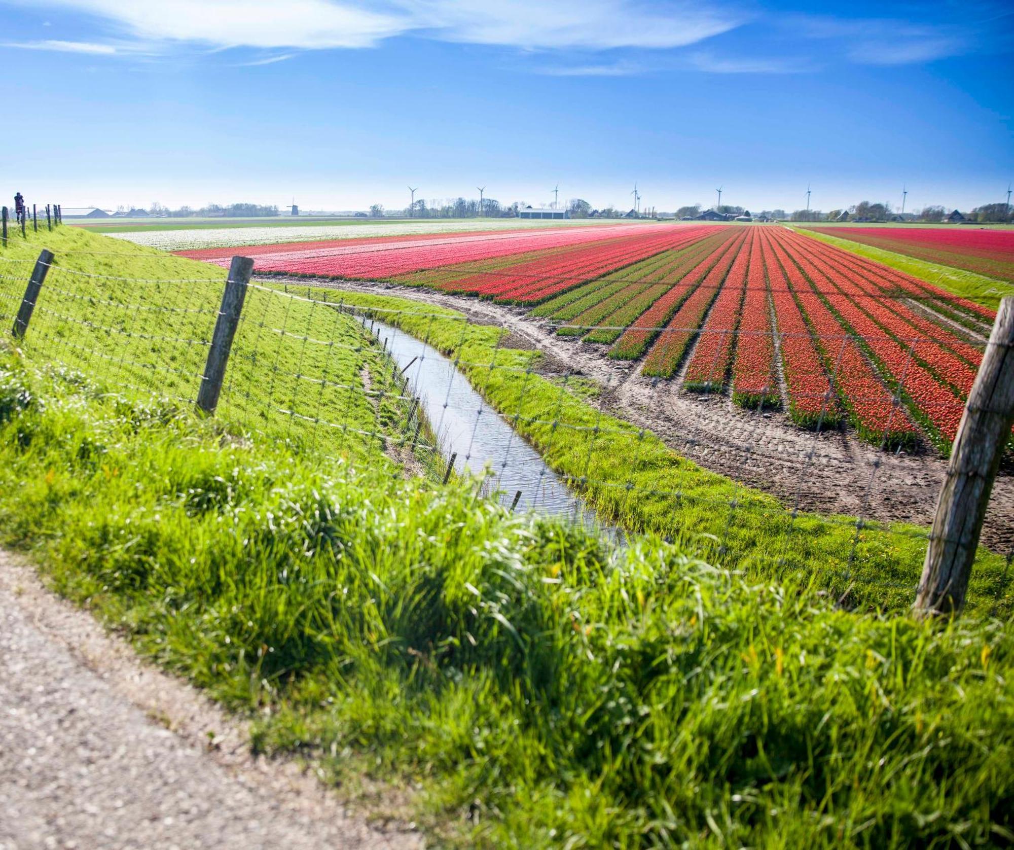 Vakantiehuisje Schelp 5 Personen - Zeezand Recreatie Stolpen Esterno foto